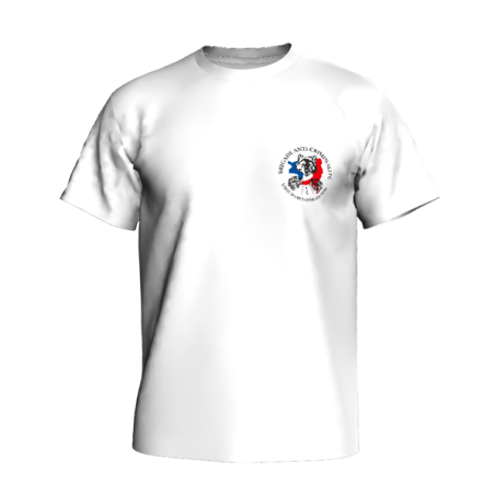 T-SHIRT RUNNING BAC93 - HOMME